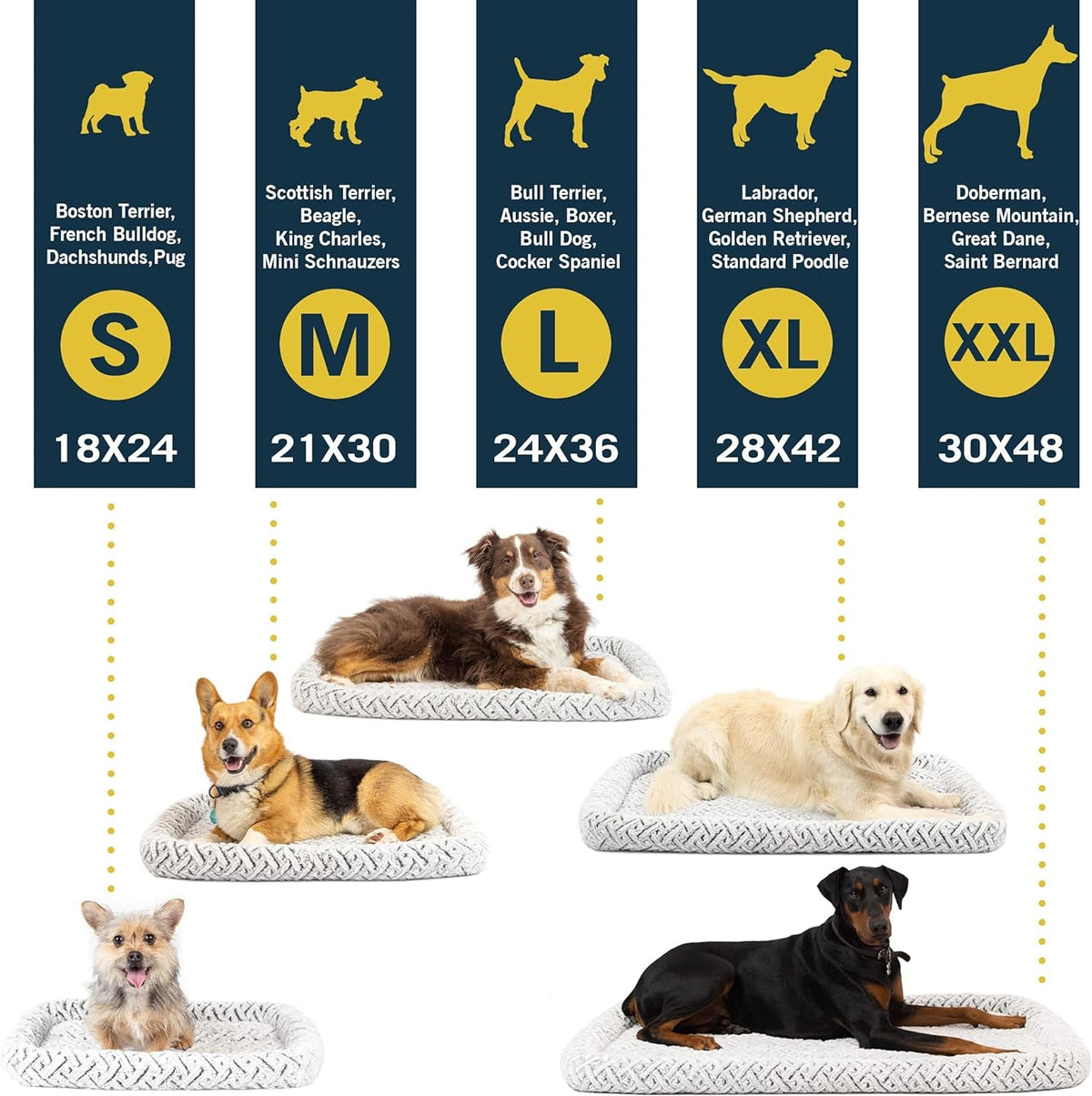 Bolster Mat Dog Bed & Crate Mat (Plush & Versatile Washable Dog Bed Perfect Dog Crate Mat and Calming Dog Bed) Small Dog Bed Size Measures 18" X 24" - Dis & Dat Shop