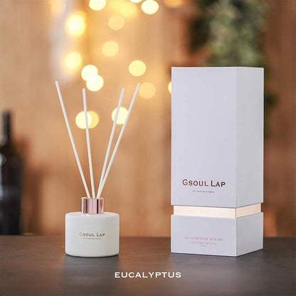 Eucalyptus Reed Diffuser Set/Fragrance Oil Diffuser Reeds/Scent Diffuser/Reed Diffuser Sticks/Room Decor/Office Decor/Home Fragrance Products & Gifts - Dis & Dat Shop